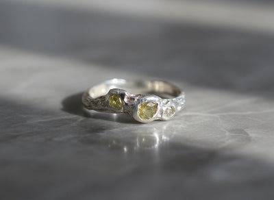 Bare Collection — A Quiet Celebration of Raw Beauty