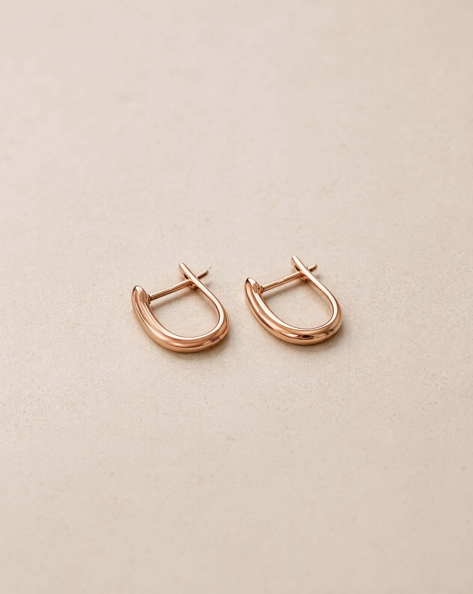 Noelle 14K Rose Gold Earrings