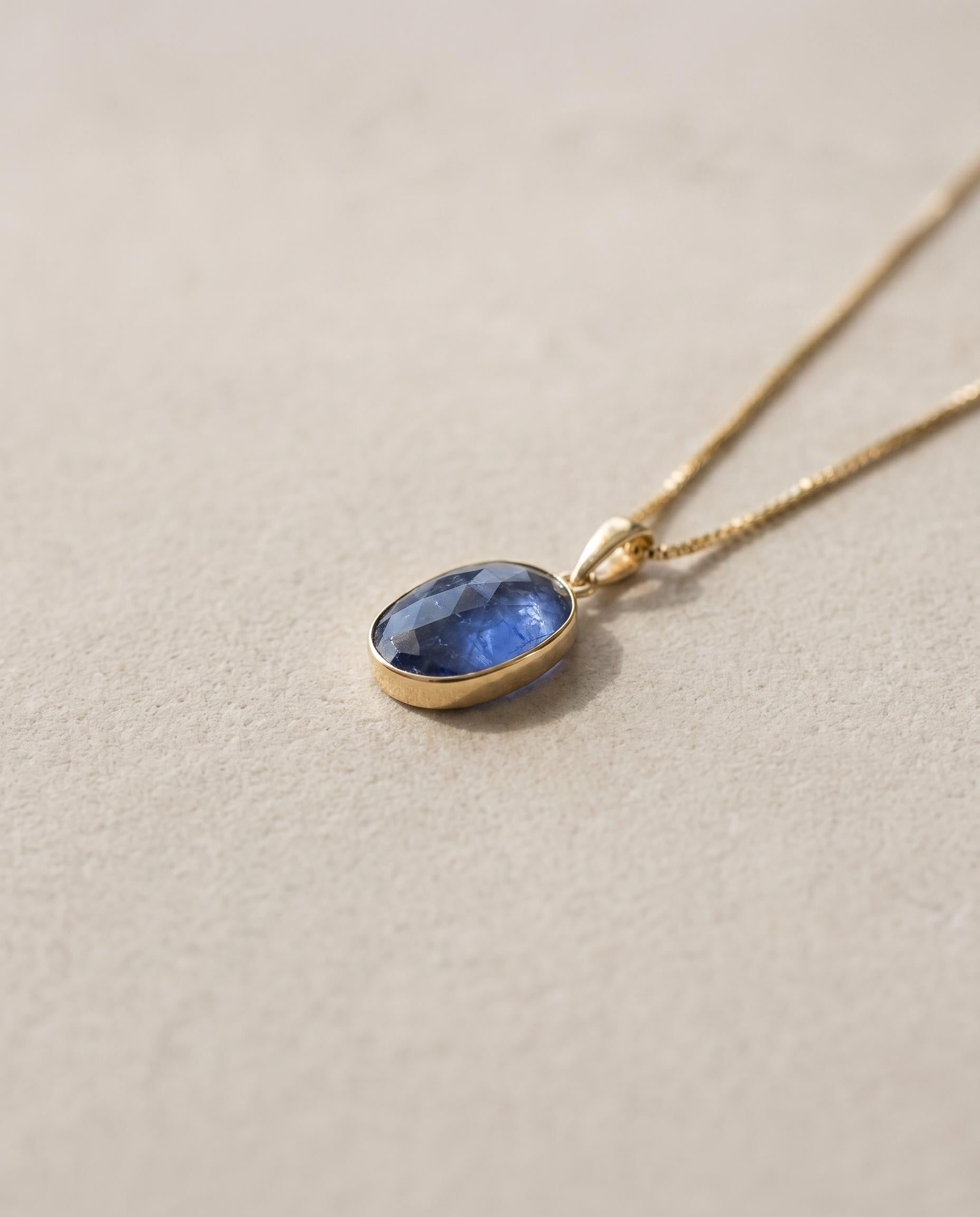 Henriette 14K Gold Iolite Necklace
